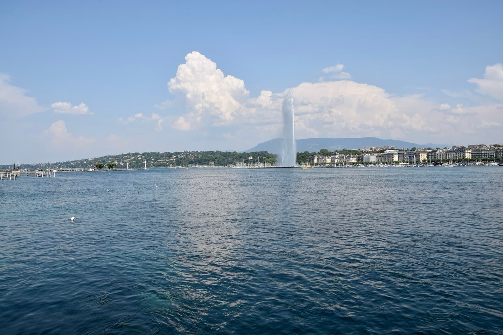 Geneva